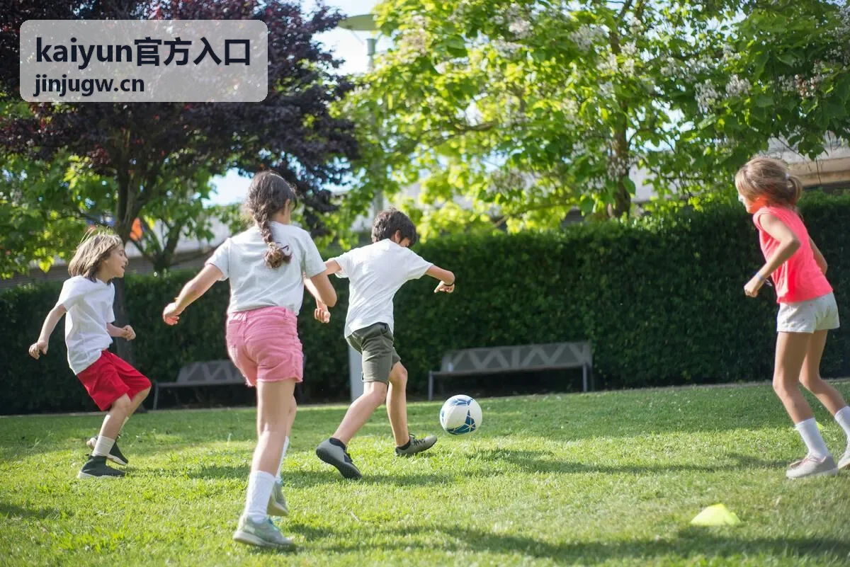 kaiyun官方入口账号开通与身份校验流程示意